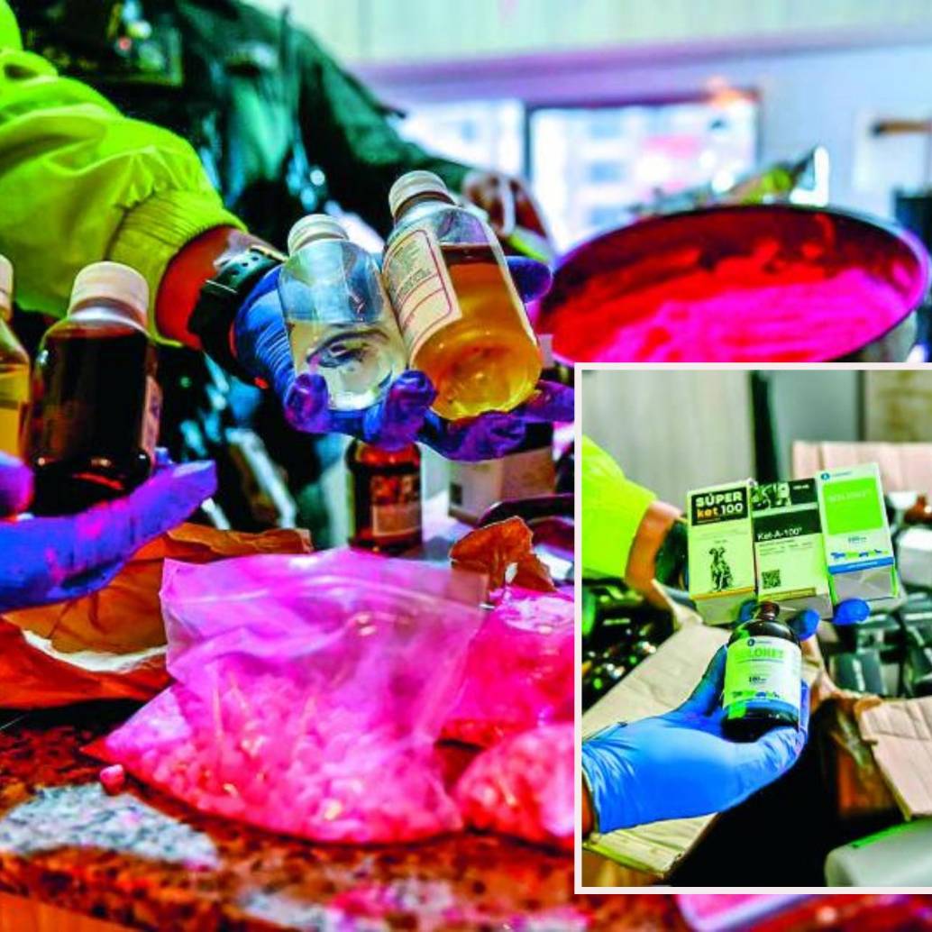 Adelante, los fármacos de uso en animales que estarían usando para elaborar drogas. Atrás una incautación de Tusi. FOTO: Cortesía