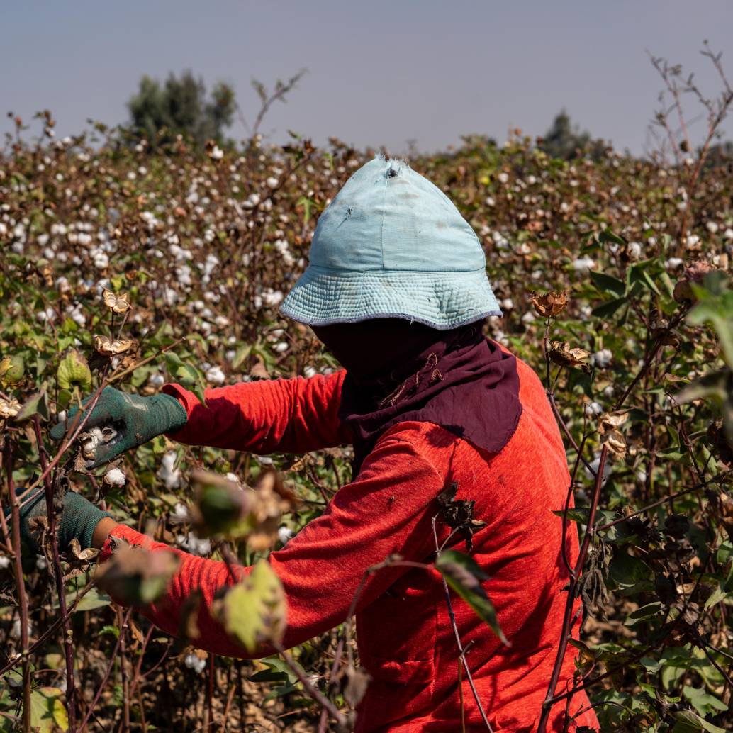 Las sequías asociadas al fenómeno de El Niño podrían reducir la producción agrícola y encarecer los alimentos en Colombia durante 2026. FOTO: GETTY