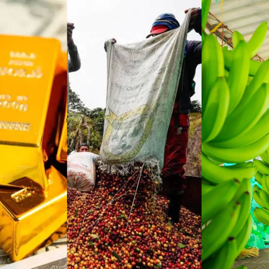 Por productos a nivel país, petróleo, café, oro, carbón y banano conformaron el top cinco de bienes más demandados por los mercados internacionales. Foto: Getty, Manuel Saldarriaga y Camilo Suárez