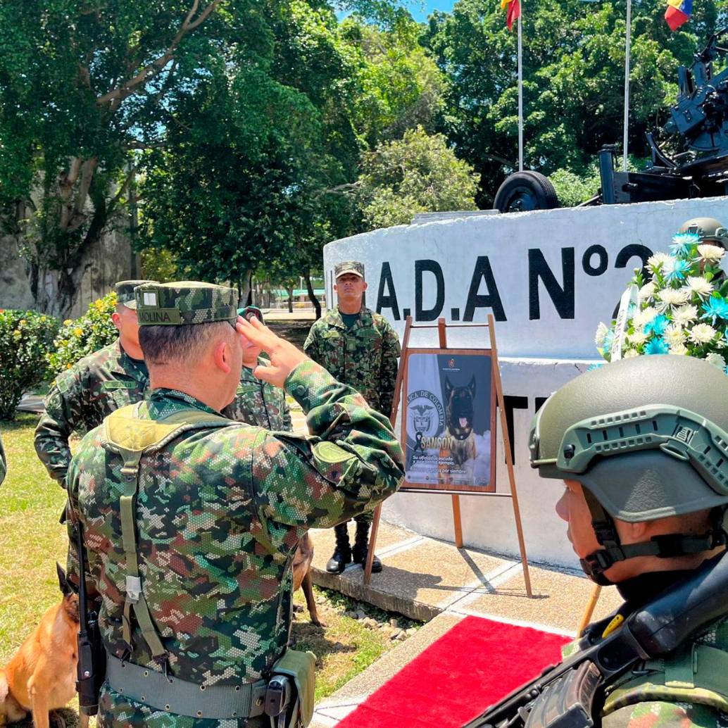 Militares del Batallón Nueva Granada, de Barrancabermeja, realizaron una ofrenda floral por la memoria de Sansón. FOTO: Tomada de X @Ejercito_Div2