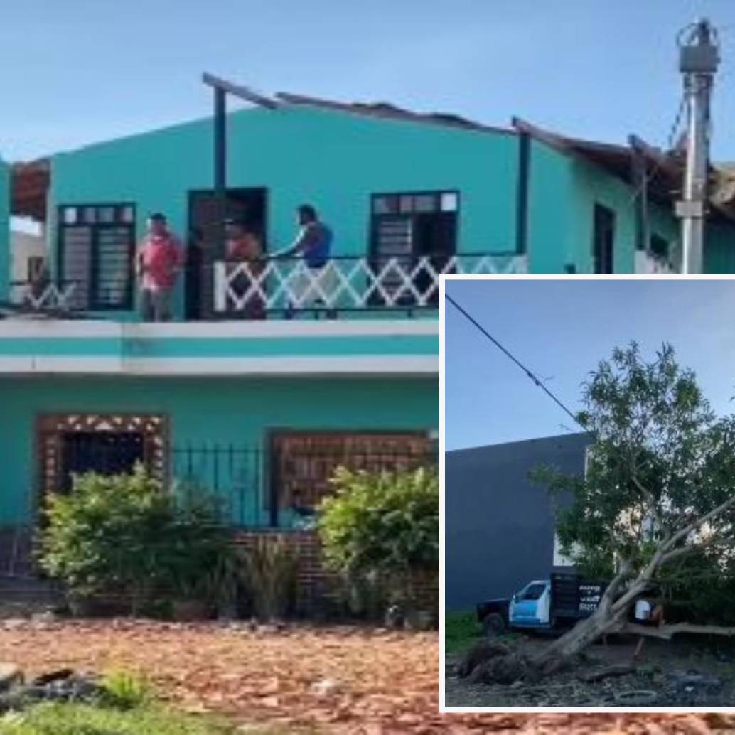 Adelante, uno de los árboles arrancados de raíz por el vendaval en Necoclí. Atrás, una vivienda destechada en este municipio. FOTO: Tomada de redes sociales