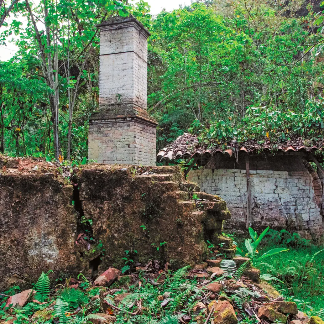 Hoy la zona es una reserva forestal donde los centenarios hornos sobreviven no solo a la naturaleza sino a los estragos de los vándalos. Los hornos ya amenazan ruina. FOTO JULIO CÉSAR HERRERA