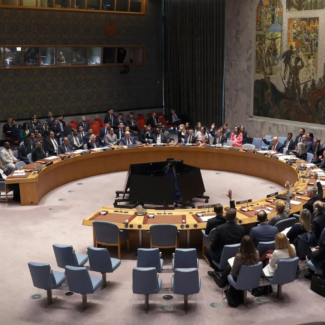 Consejo de Seguridad de la ONU. Foto: captura de video