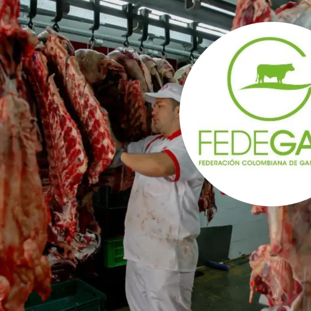 Para Fedegán, el Gobierno ha identificado erróneamente la causa del encarecimiento de la carne en el país, por lo que no están de acuerdo con suspender las exportaciones de ganado. FOTO: Manuel Saldarriaga y Fedegan