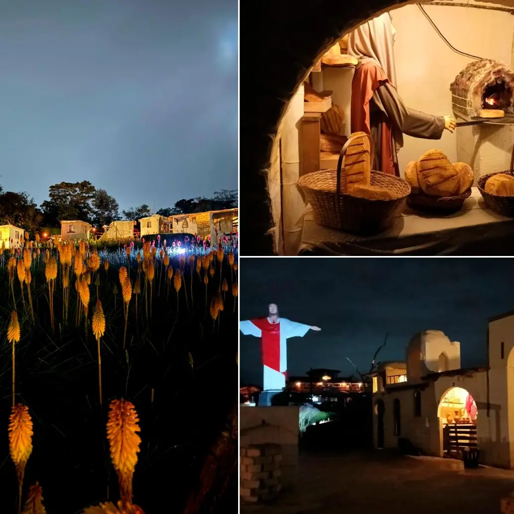 De noche el espacio se ilumina de una manera especial para el disfrute de los visitantes. FOTOS: Cortesía Jardín Silletero