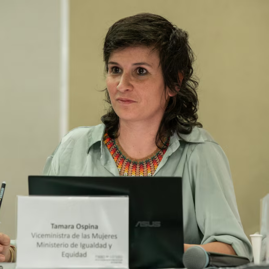 Posse era viceministra de las mujeres. <b>Foto:</b> Redes Sociales ONU.
