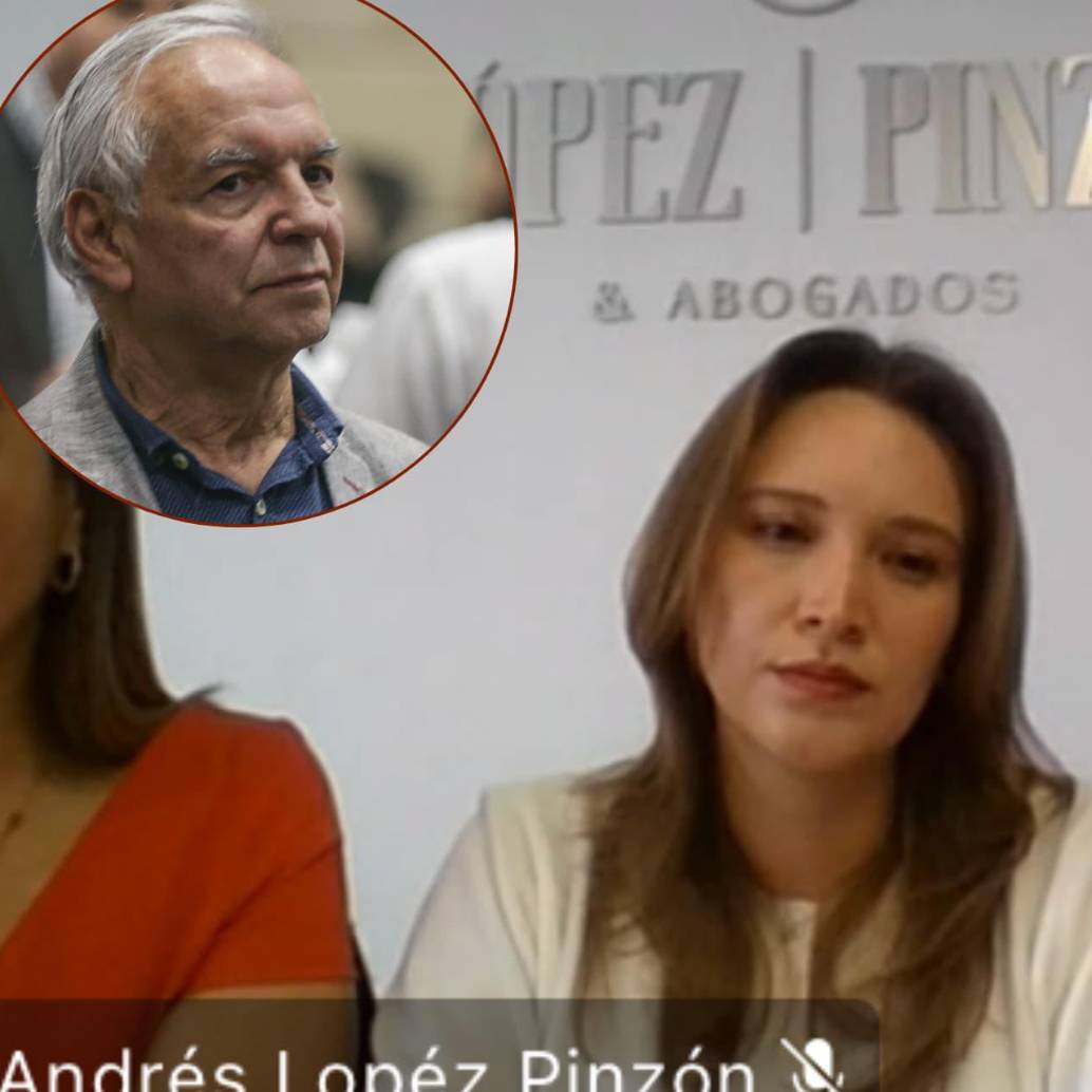 Maria Alejandra Benavides, exasesora del Ministerio de Hacienda. Foto: captura de video