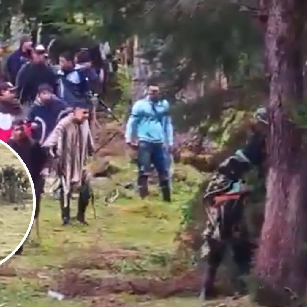 Enfrentamientos indígenas en Cauca dejan víctimas mortales y decenas de heridos. Foto: captura de video