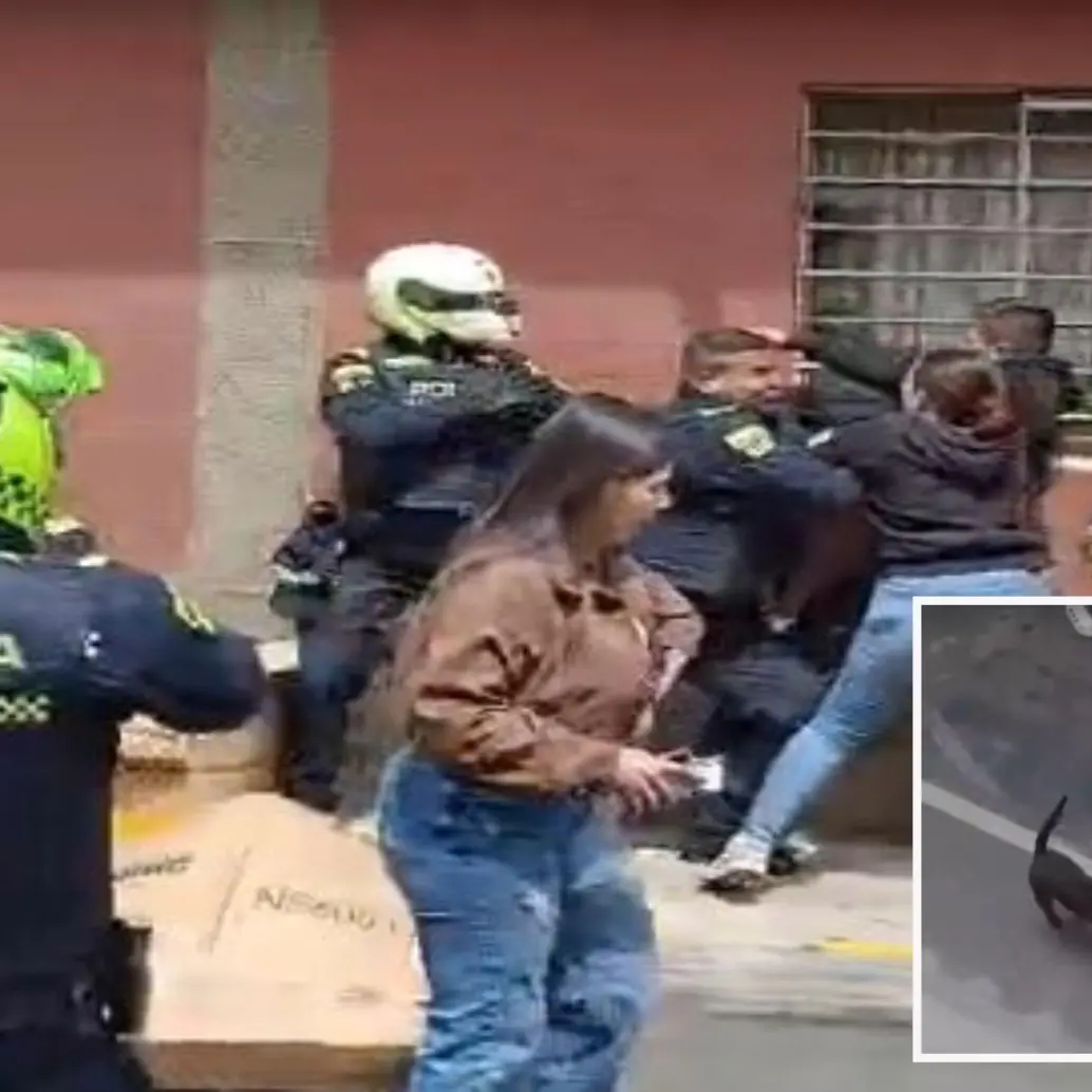 Adelante, momento en el que el animal ataca al uniformado. Atrás, reacción de unos de los habitantes de Rionegro. FOTO: Cortesía Denuncias Antioquia.