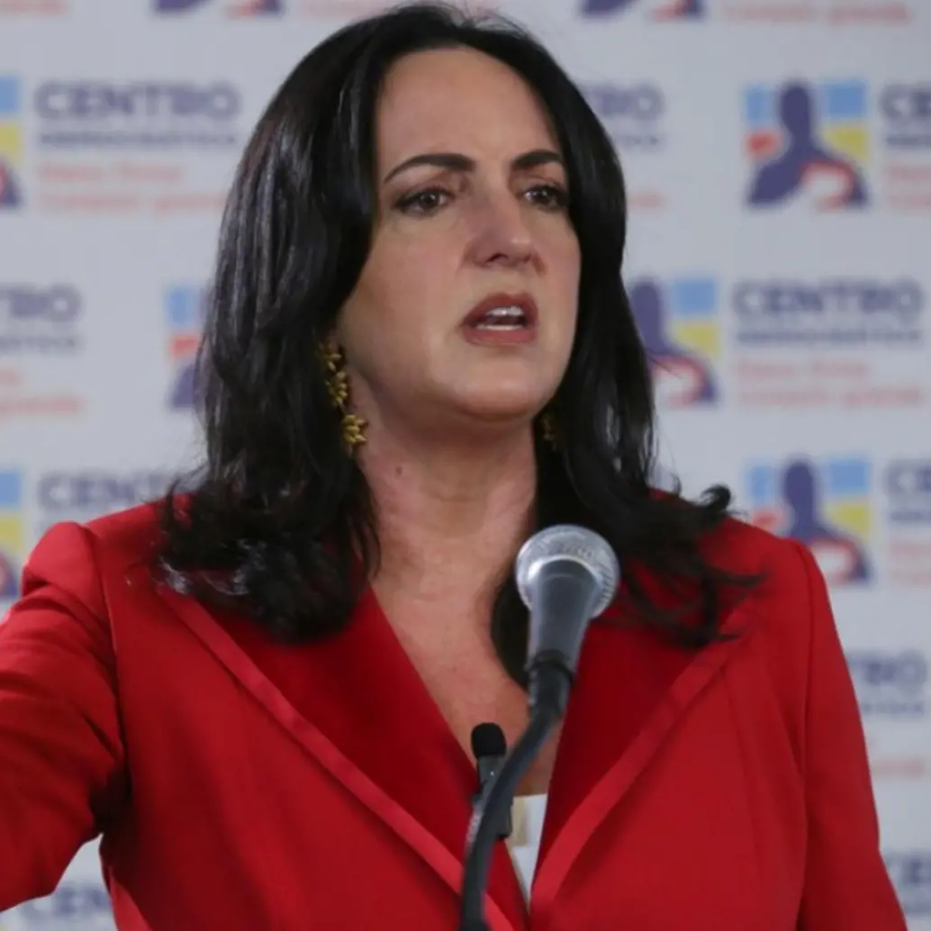 La senadora del Centro Democrático cierra su investidura tras sesionar durante cuatro años en el Congreso. Foto: Colprensa.