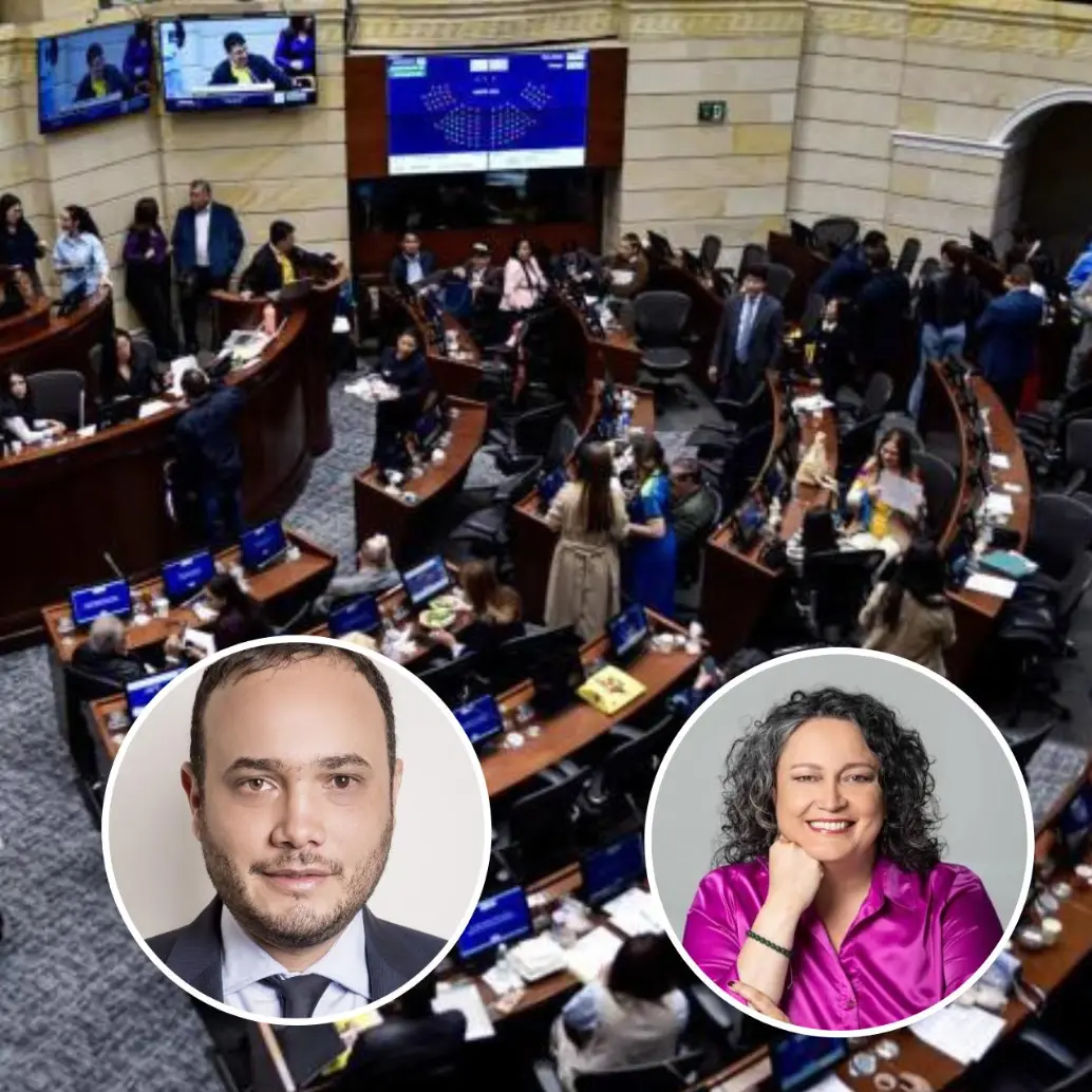 El último año fue en el que menos proyectos se aprobaron. Foto: Cristian Bayona. Colprensa - Congreso Visible