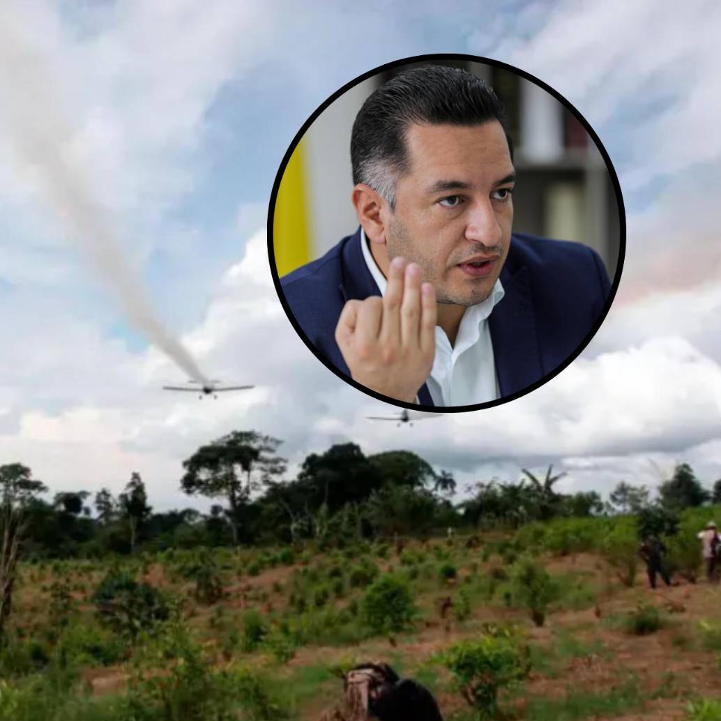 La medida se realizaría por medio de la aspersión con drones. Foto: Polícia/Colprensa.