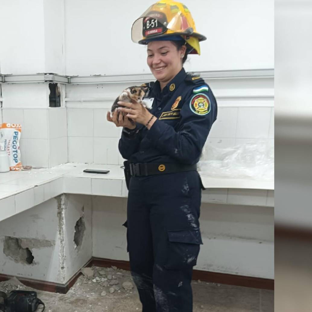 El gato bebé se encuentra en proceso de estabilización, pero está fuera de peligro. FOTO Bomberos La Estrella.