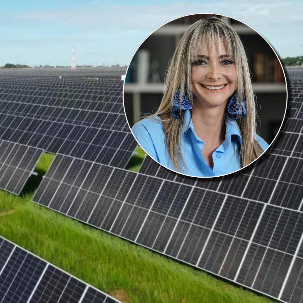 Según Alexandra Hernández, presidente de Ser Colombia, con las decisiones correctas, los colombianos se podrían ahorrar hasta $7 billones en tarifas en los próximos cinco años. Foto: Cortesía