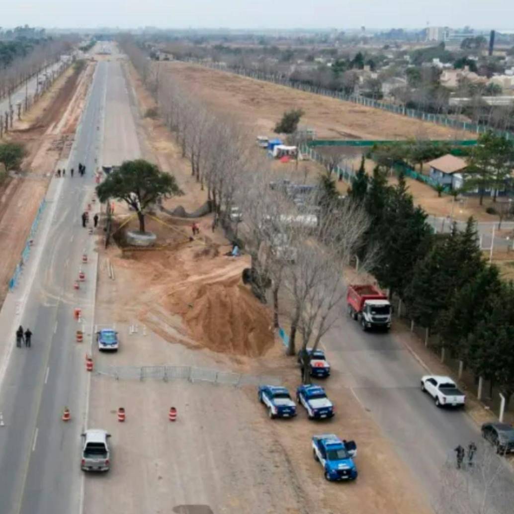 El quebracho blanco estaba ubicado a un costado de una autopista que se ampliará de dos a cuatro carriles en Villa Allende, cerca de Córdoba, en Argentina. FOTO: AFP