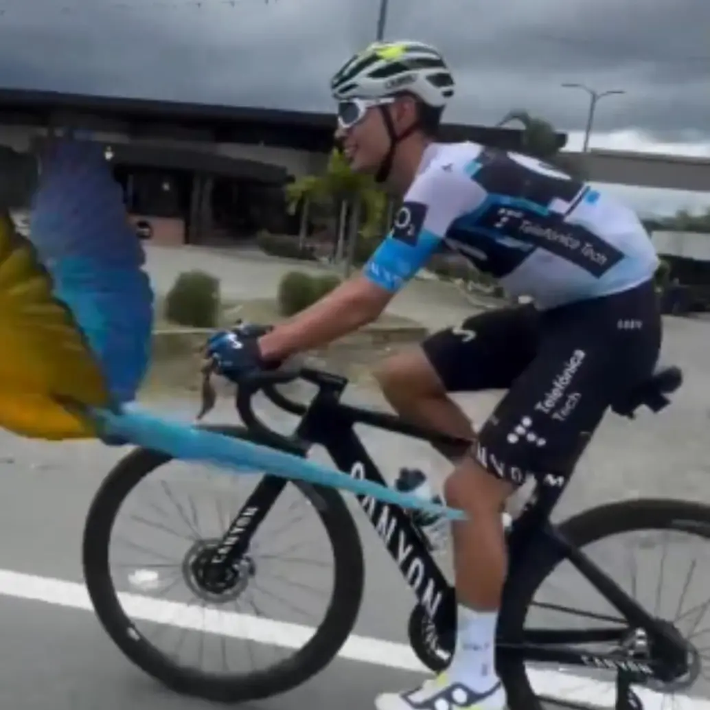 En medio del ataque le habrían arrancado<b> </b>dos plumas de su cola y le causaron lesiones de consideración. Foto: Captura de video/Redes Sociales. 