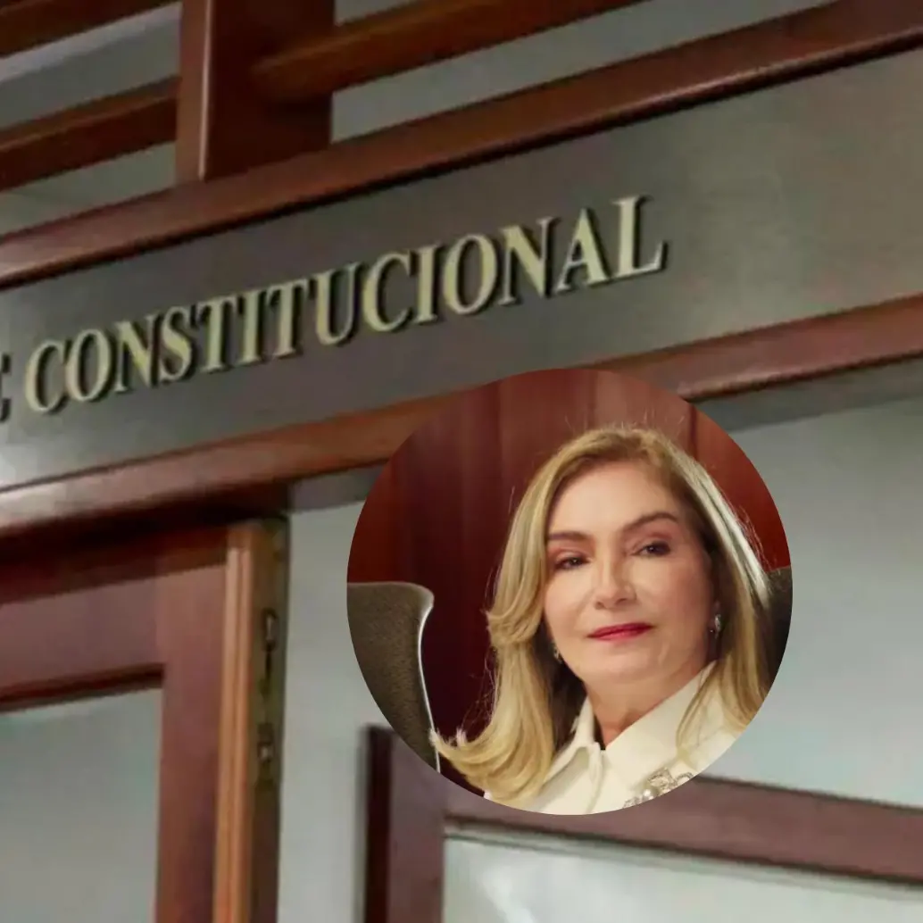 Liliana Rosa es una de las favoritas para el cargo, sin embargo, una polémica del pasado la persigue. FOTO: CORTE CONSTITUCIONAL Y REDES SOCIALES