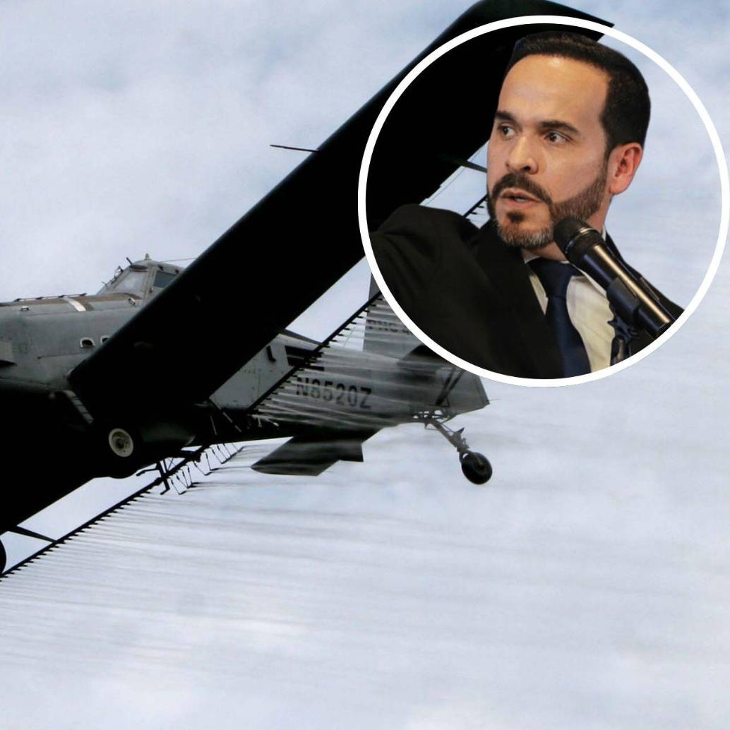 El Gobierno de Abelardo de la Espriella ha propuesto volver a utilizar la fumigación aérea a cultivos de uso ilícito, pero deben cumplirse varios requisitos en el plan piloto. FOTOS: Colprensa