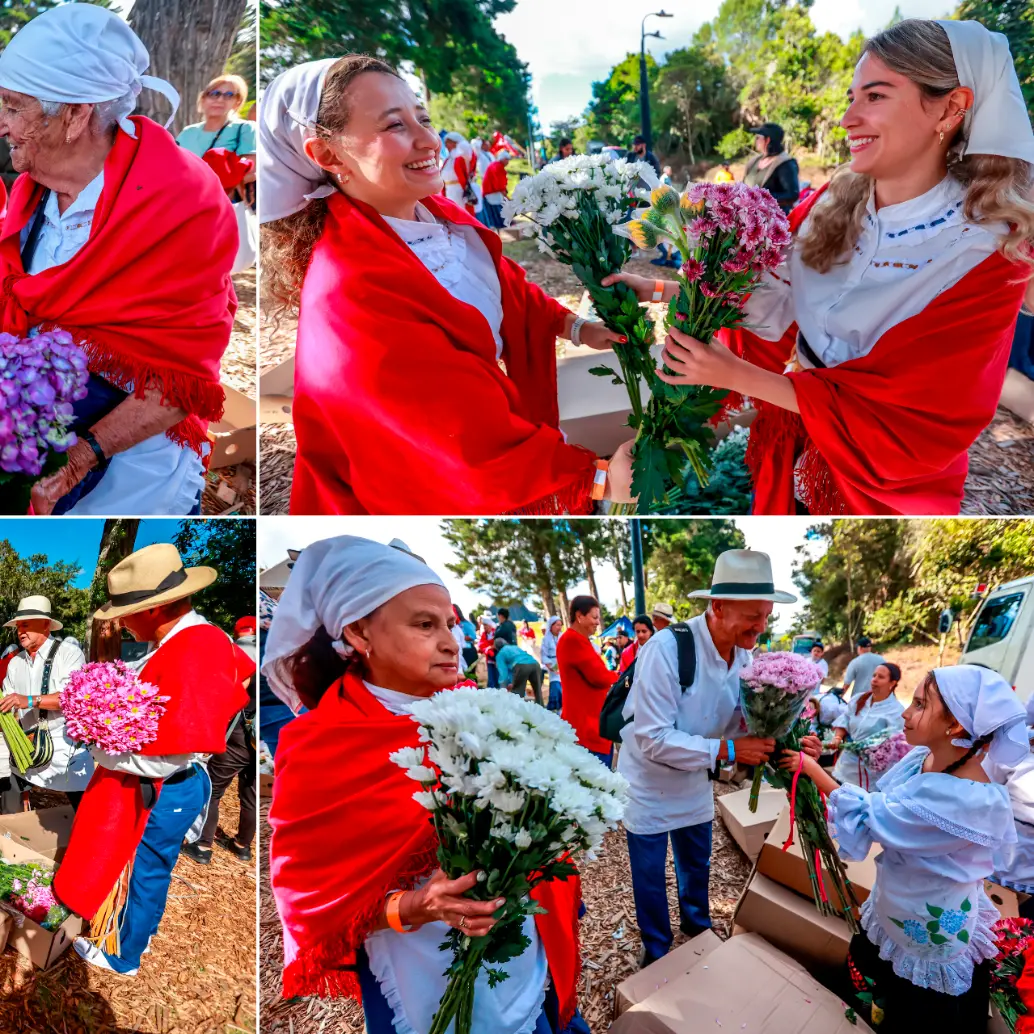Los silleteros intercambiaron crisantemos, hortensias y hasta girasoles. FOTOS Manuel Saldarriaga