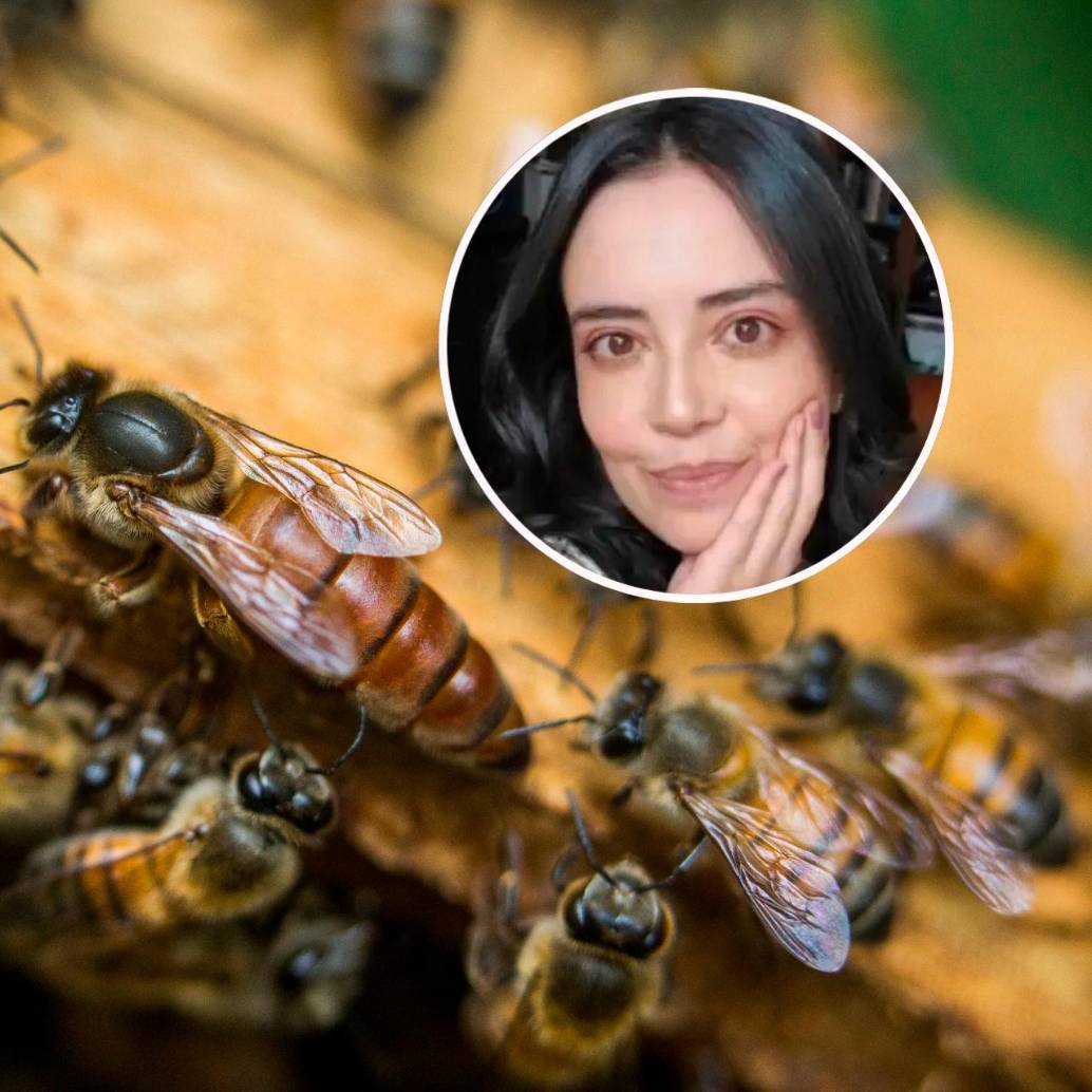 El ataque de abejas sobre Andrea del Pilar Fandiño Palacios ocurrió en zona rural del municipio de Ortega, Tolima. FOTOS: Archivo EL COLOMBIANO y tomada de redes sociales 
