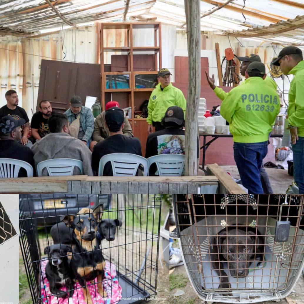 Entre los capturados está el organizador del evento y un veterinario. Foto: Fiscalía