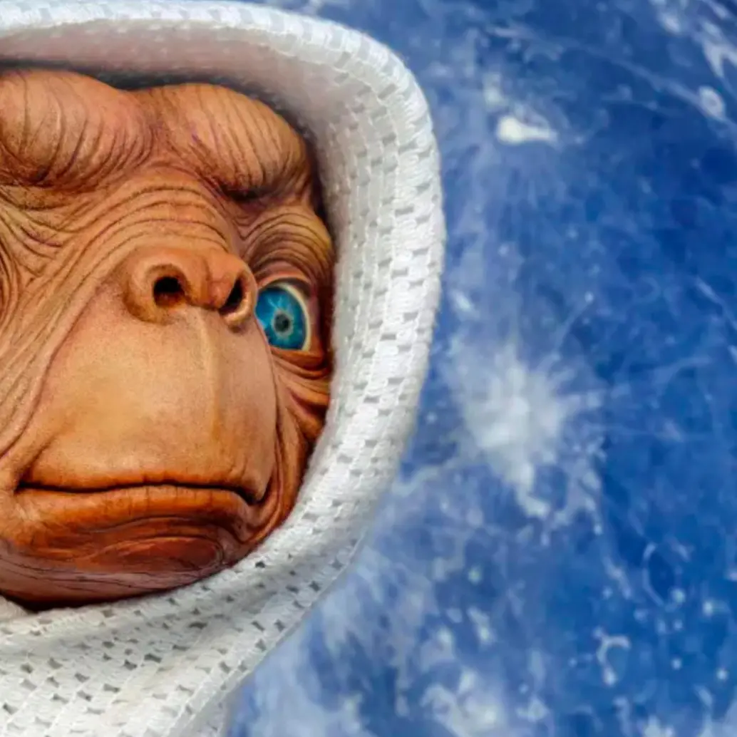 La imagen del famoso extraterrestre aparece en la publicidad junto a un mensaje en el que el gobierno de EE. UU. le pide a los migrantes que se “vayan a casa”.<b> </b>FOTO: Pixabay