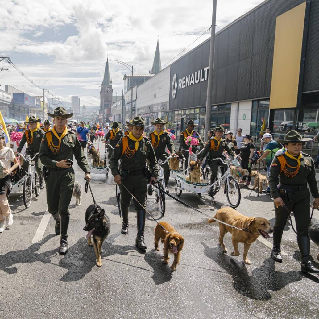 Caminata Canina de Tierragro. Foto: Cortesía.