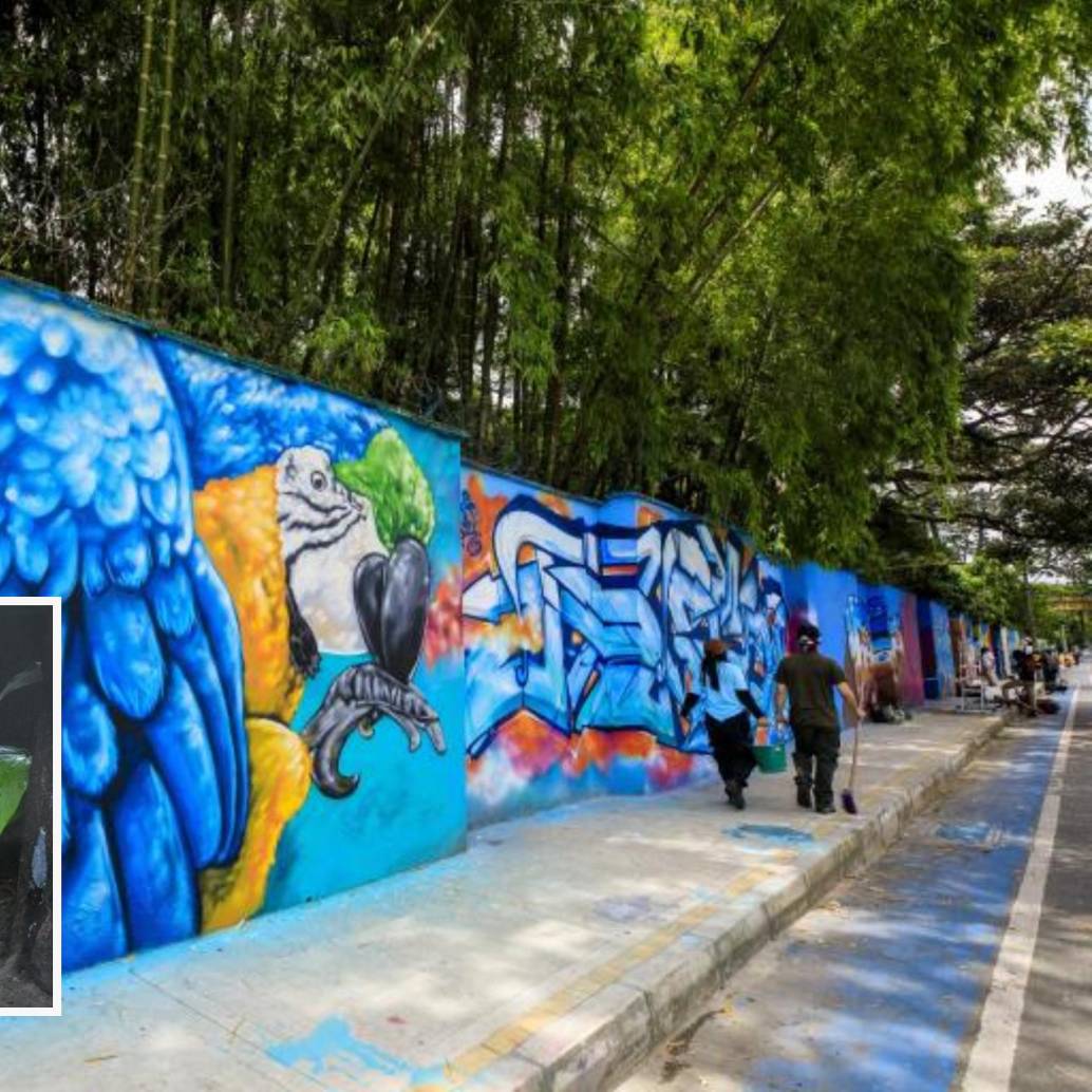 Adelante, uno de los pumas que ahora pasará al Parque de la Conservación. Atrás, fachada del espacio. Foto: Andrés Camilo Suárez Echeverry