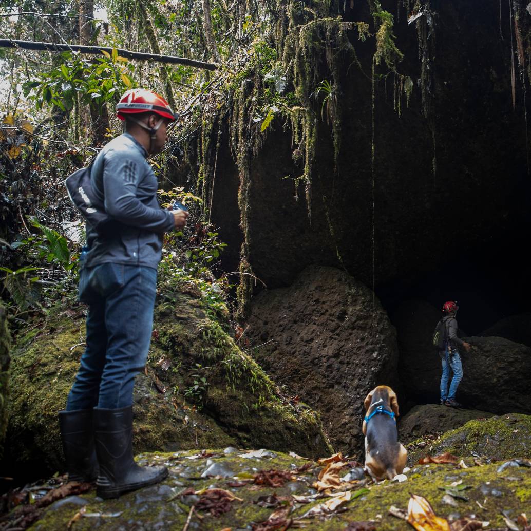 Este es el organal de San Antonio en Támesis, involucrado en la noticia falsa del río subterráneo, y que podría verse en riesgo si este tipo de contenido se traduce en turismo masivo sin control. FOTO: EL COLOMBIANO