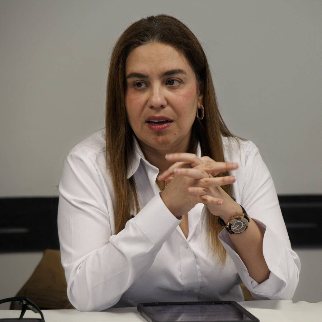 La ministra (e) Karen Schutt descartó un racionamiento de gas este fin de semana en el Caribe. FOTO: Camilo Suárez.