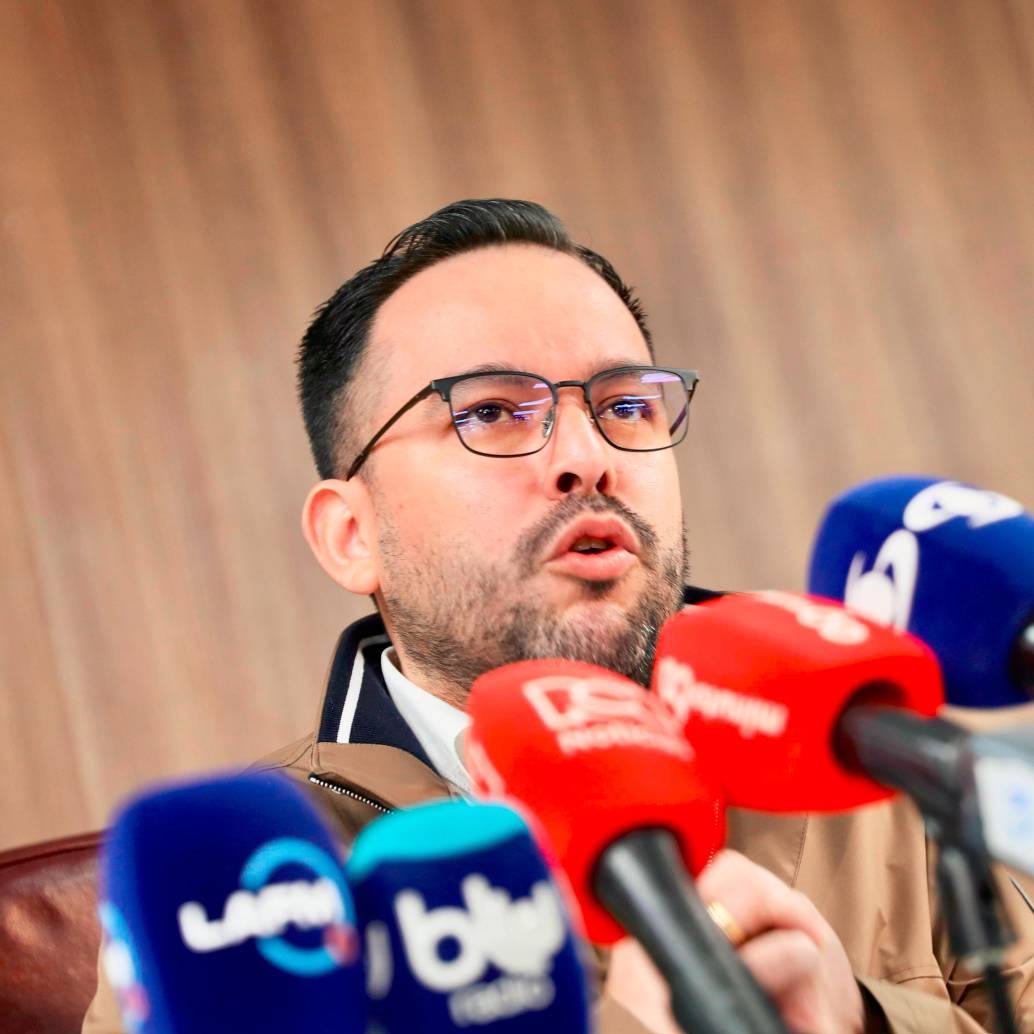 Edwin Palma, ministro de Energía. FOTO: Cortesía MinEnergía