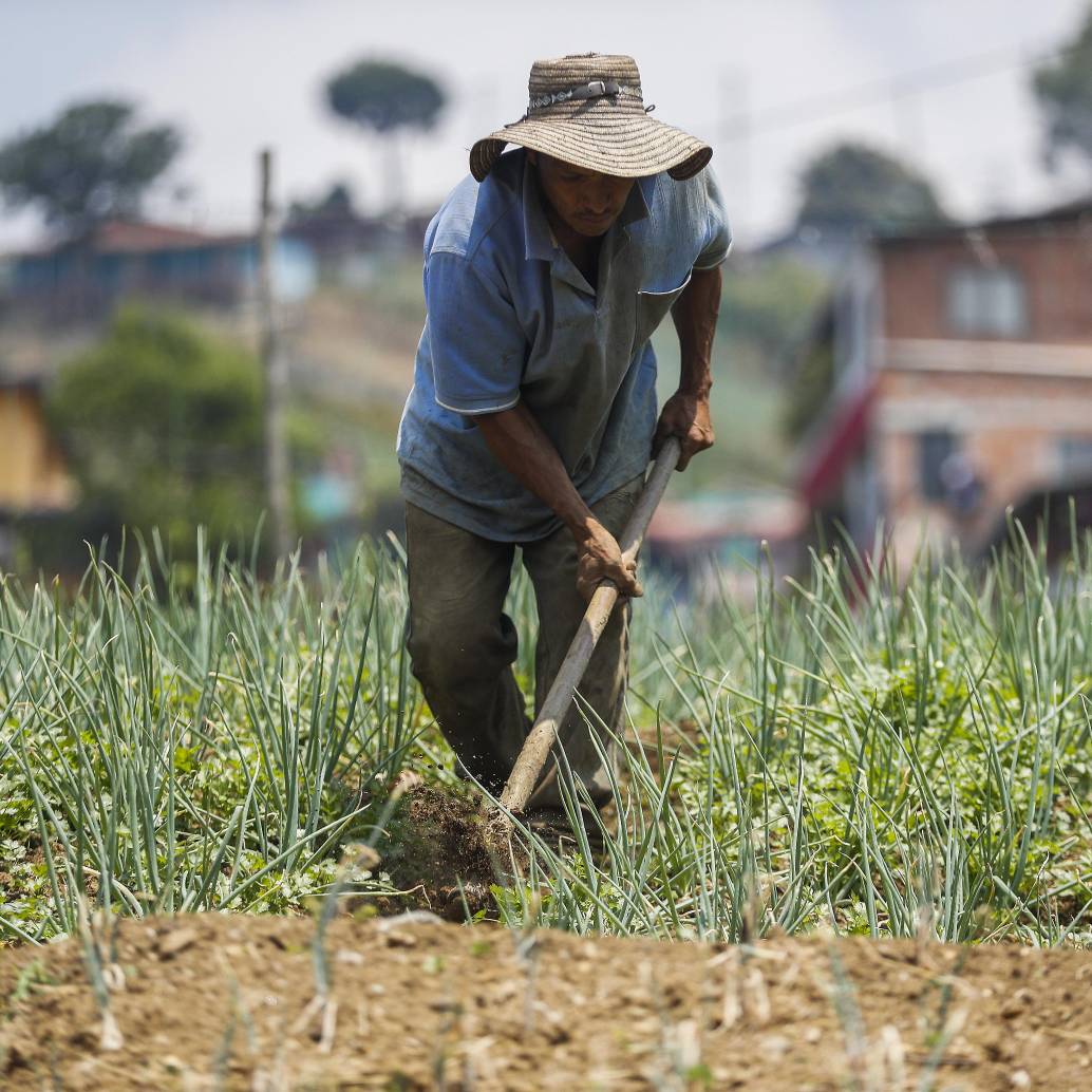 Distintos sectores del agro reclaman medidas urgentes para proteger el sustento de millones de familias rurales. Foto: Manuel Saldarriaga