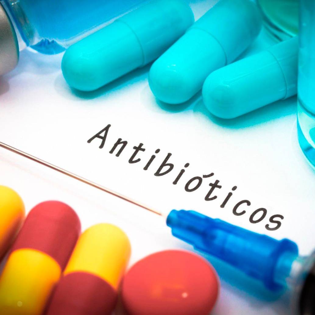 ‘E. coli’ y ‘K. pneumoniae’ son las principales bacterias gramnegativas resistentes a los antibióticos. Foto Getty. 