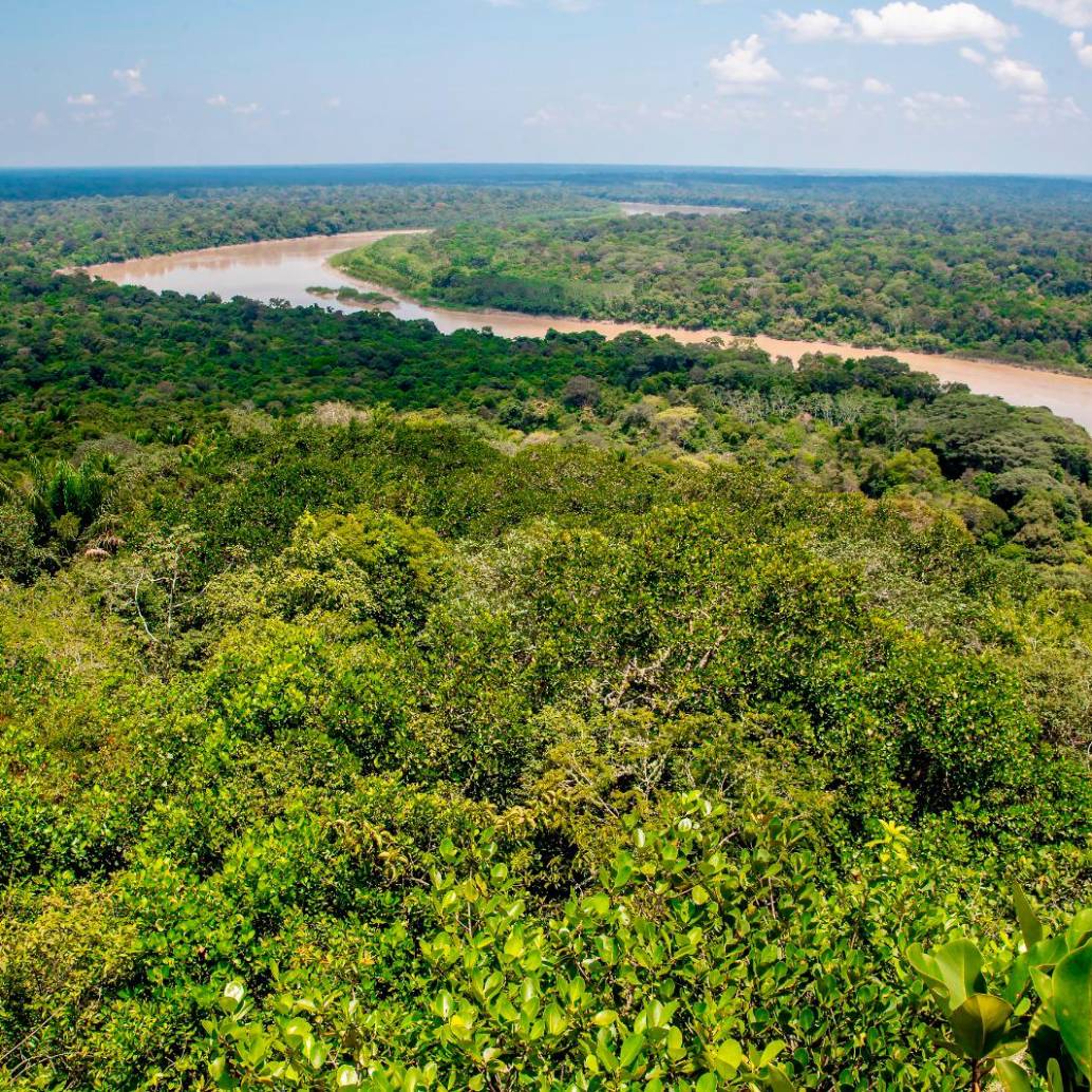 La restauración y protección de los bosques es una de las prioridades de los territorios que integran el GCF Task Force, una red que impulsa soluciones locales frente a la crisis climática. FOTO: Juan Antonio Sánchez