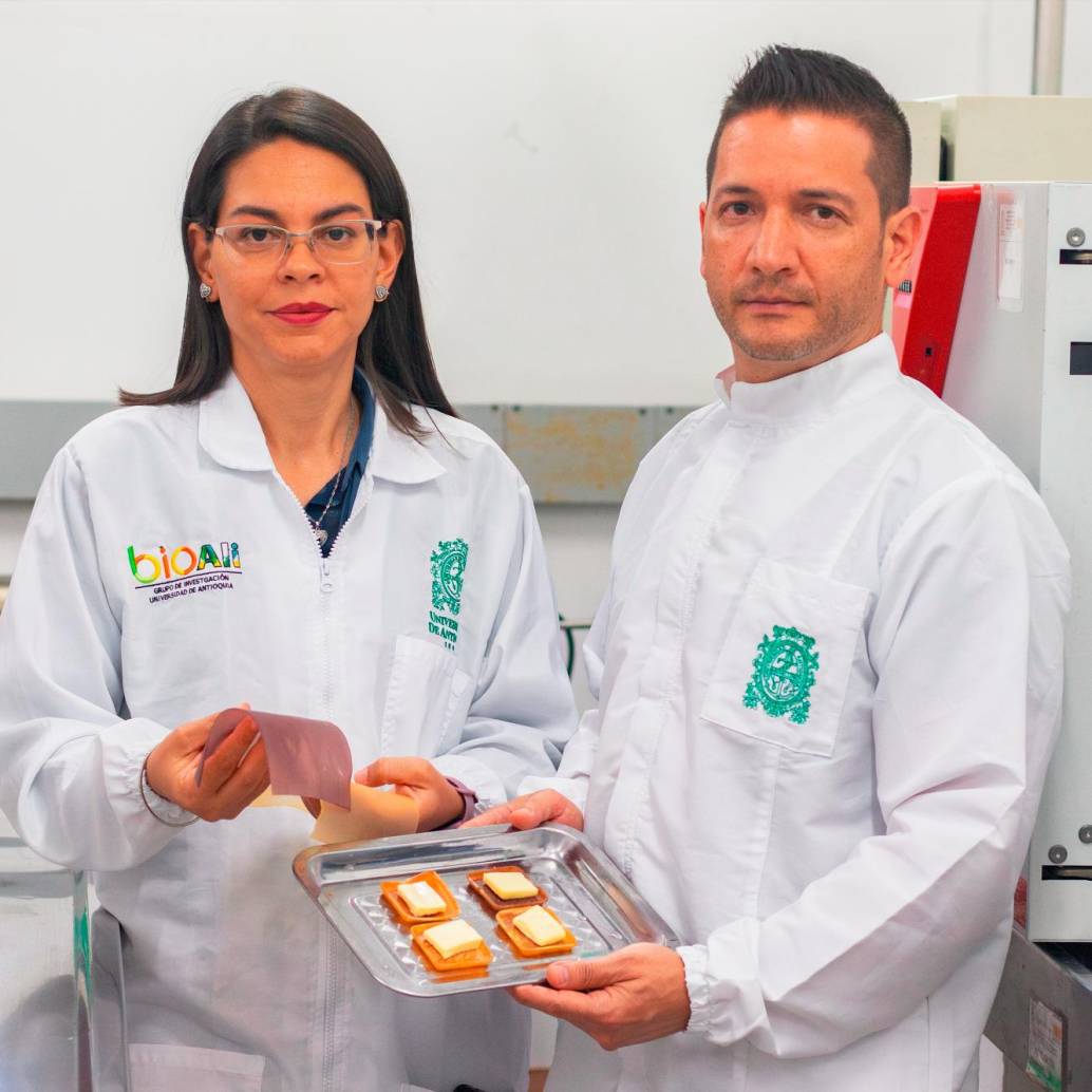 Diana Granada y Ricardo Mesías con el empaque para quesos que crearon con los residuos de la leche y de la yuca. Foto: Dirección de comunicaciones UdeA / Alejandra Uribe