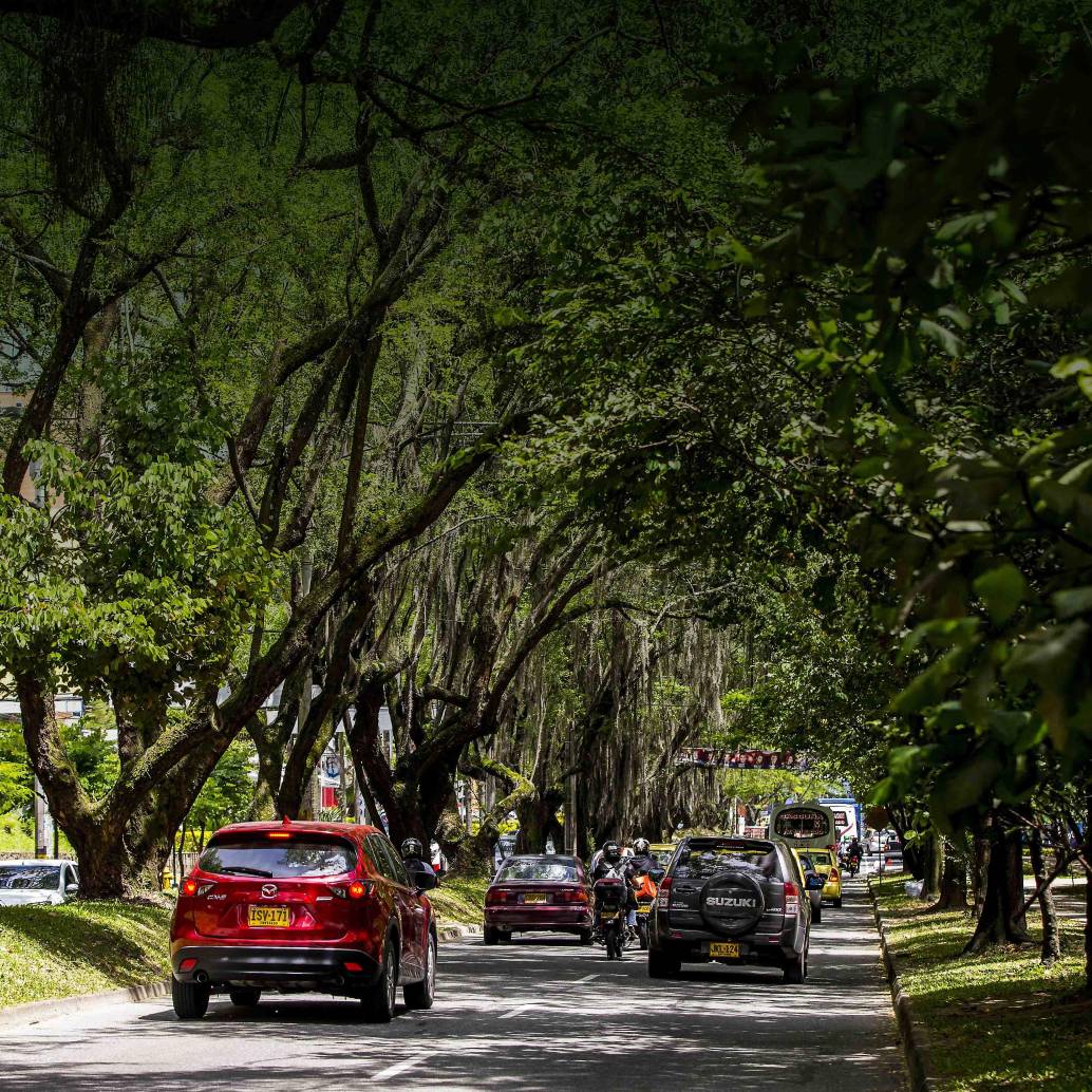 Medellín transforma sus espacios verdes para ser un referente internacional en la mitigación de los efectos del cambio climático. FOTO EL COLOMBIANO