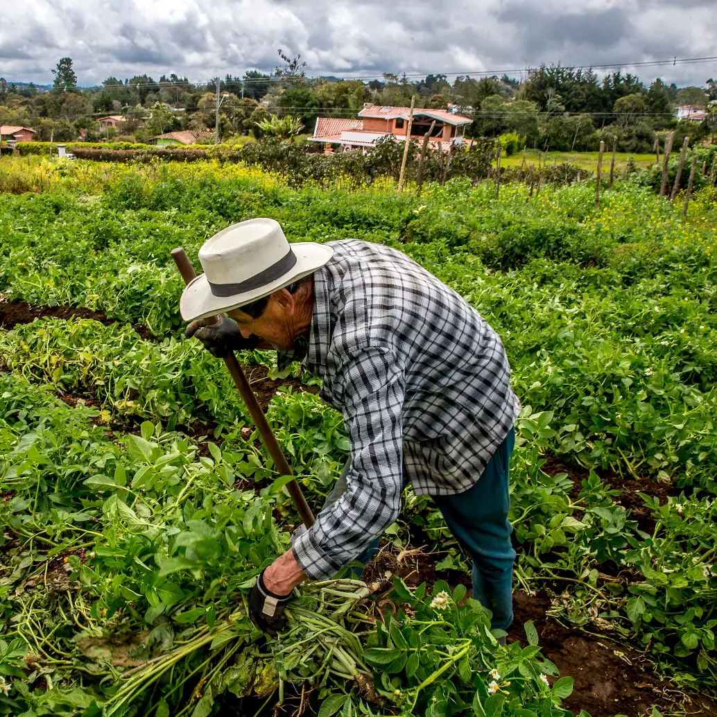 Gremios agropecuarios advierten riesgos en la reforma de la Jurisdicción Agraria propuesta por el Gobierno. FOTO: Juan Antonio Sánchez