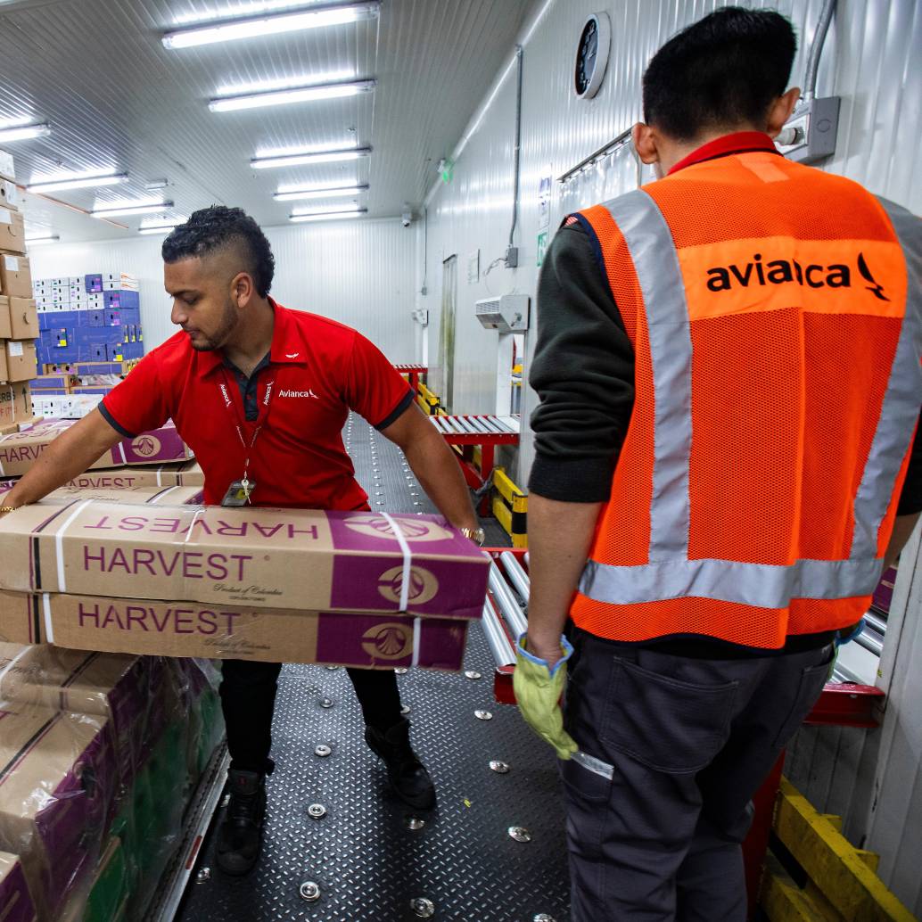 Los principales gremios agroexportadores advirtieron que la caída de 23% en la tasa de cambio reduce la competitividad de productos como café, flores, banano, palma, azúcar y aguacate, y pone en riesgo el empleo rural y la generación de divisas. FOTO EL COLOMBIANO