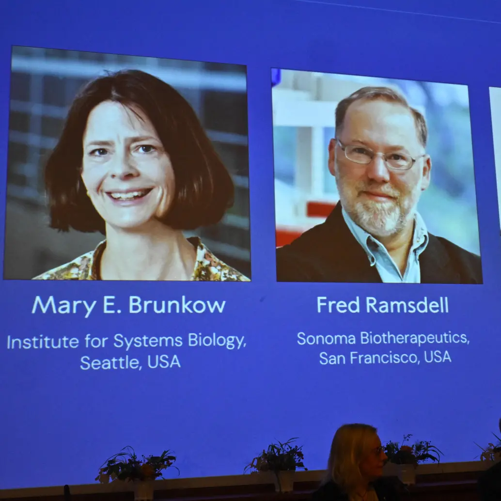 Mary E Brunkow, Fred Ramsdell y Shimon Sakaguchi fueron premiados con el Nobel de Medicina este lunes, 6 de octubre. FOTO: AFP