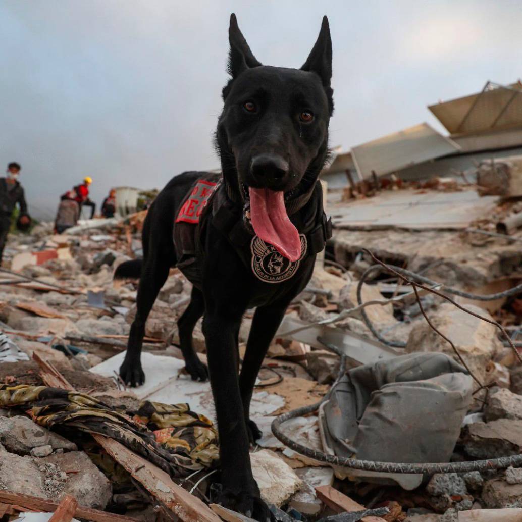 Los terremotos que sacudieron a Venezuela el pasado 24 de junio han dejado más 16.000 heridos. FOTO Getty. 