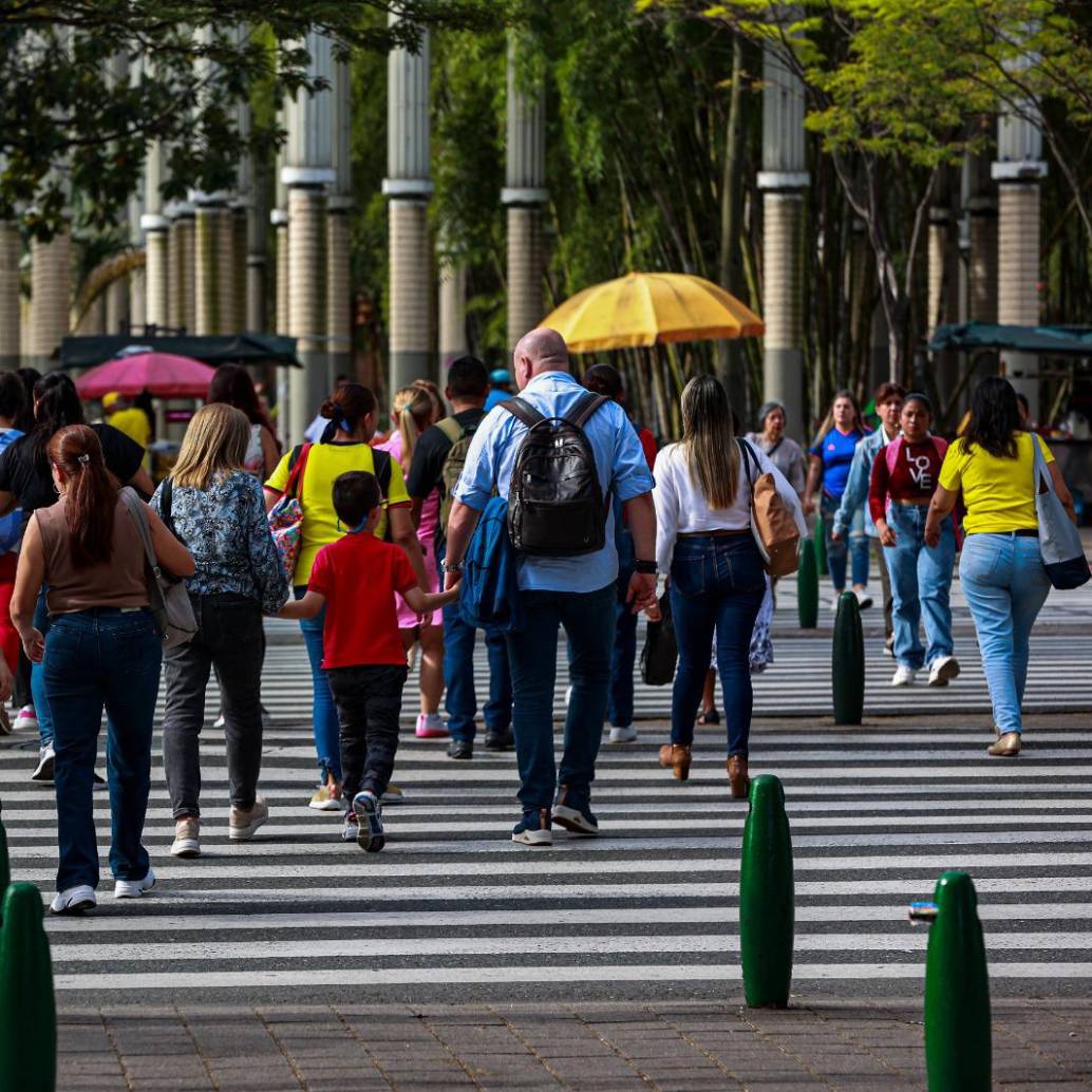 El estudio está realizado con datos recogidos en 20.445 encuestas en 32 ciudades. Se revelan “cómo viven, sienten y evalúan su calidad de vida más de 16 millones de colombianos”. Foto: Manuel Saldarriaga