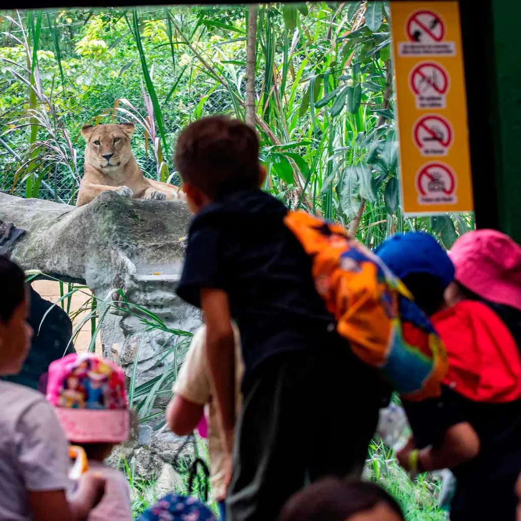 El Parque de la Conservación es uno de los lugares que tendrá programación especial durante las vacaciones. FOTO: Camilo Suárez