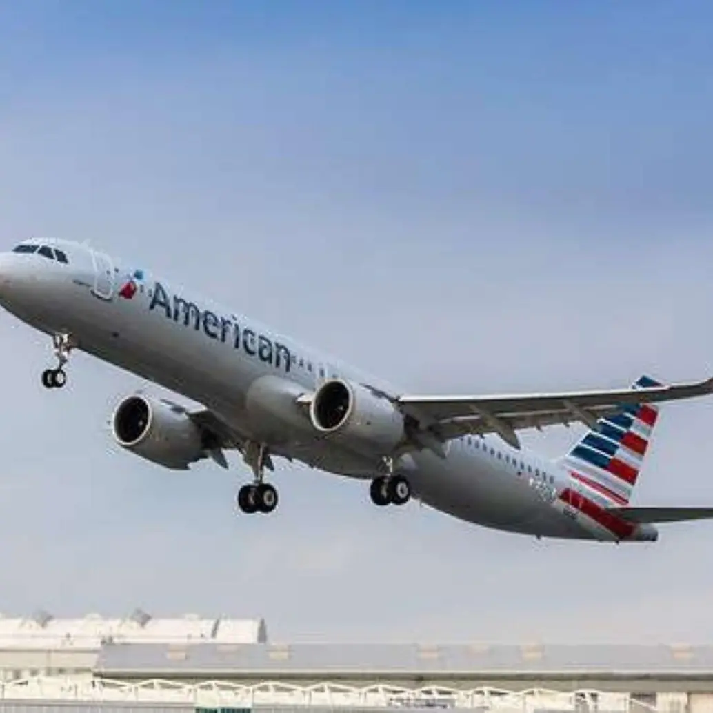 American Airlines, Delta y otras aerolíneas estadounidenses estarían suministrando información de migrantes a agencias como ICE y CBP. Foto: redes sociales 