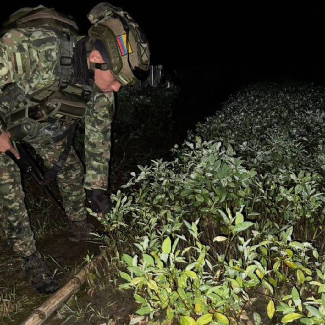 El Ejército le dio un golpe a las finanzas de la Coordinadora Nacional Ejército Bolivariano, estructura de las disidencias de las Farc. Foto: Ejército Nacional