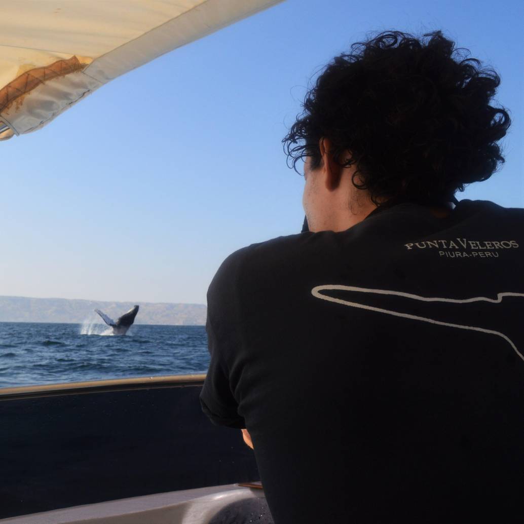 Alrededor de seis meses del año, Esteban se la pasa navegando por el mundo, aprendiendo y enseñando sobre la vida en las profundidades oceánicas.. <b> </b>FOTO<b> Archivo personal Esteban Duque</b>