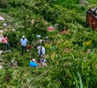 La pequeña murió después de que el camión en el que iba junto a su mamá y su abuela cayera a un abismo en la zona rural más alejada del casco urbano de Yarumal, Antioquia. Foto: cortesía.
