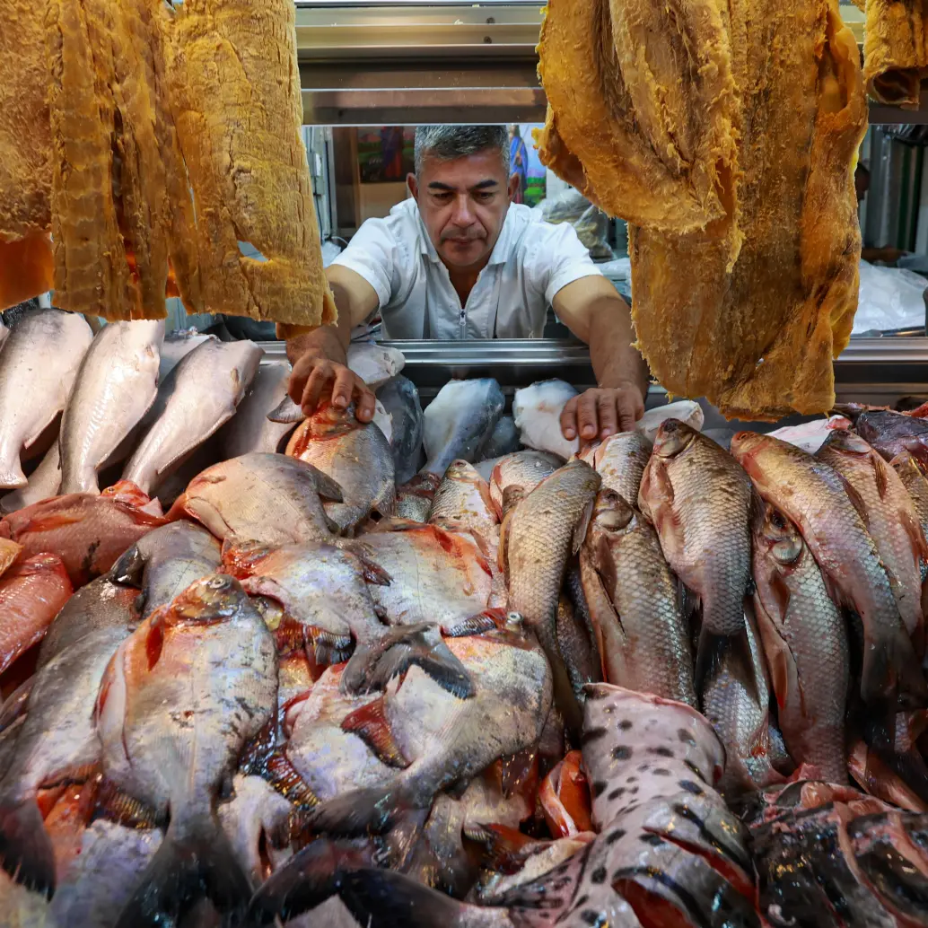 Comerciantes de pescado en la Plaza Minorista José María Villa, en Medellín, reportan menores ventas durante la Semana Santa, pese al aumento en la oferta y al crecimiento del consumo anual impulsado por la acuicultura. <span class="mln_uppercase_mln">FOTOS</span> <b><span class="mln_uppercase_mln">manuel Saldarriaga</span></b>