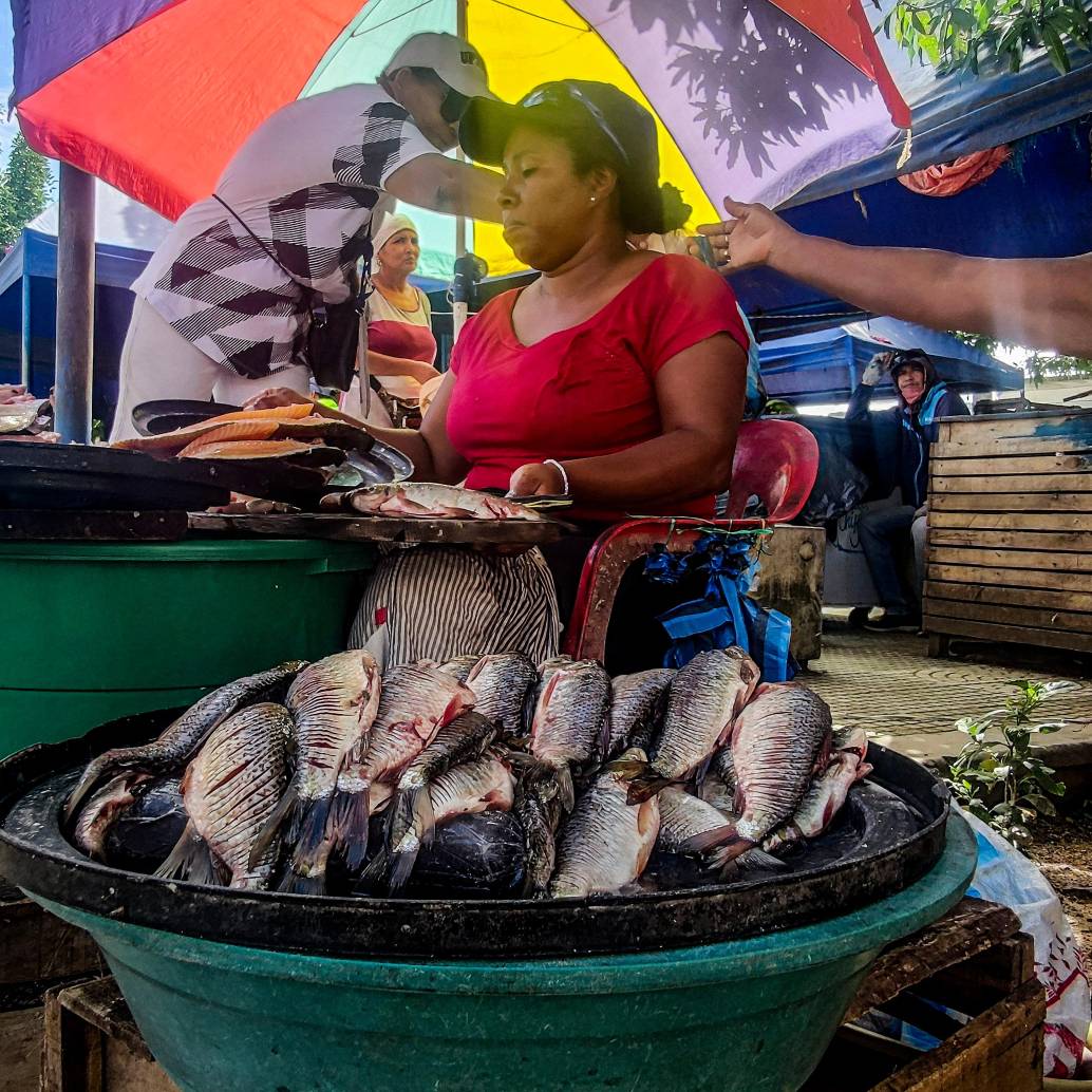 Ventas callejeras de alimentos se constituyen en un alternativa laboral en diversas partes del país. FOTO EL COLOMBIANO