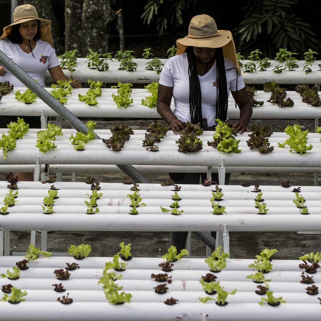 Entre los hallazgos también está que la brecha de género laboral se está cerrando y que la población en edad para trabajar caerá hasta 8% en los miembros del grupo para 2060. Foto: Julio César Herrera Echeverri.