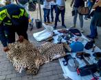 En el mercado Sanalejo fue incautada la piel de un jaguar a plena luz del día en un operativo de la Policía gracias a una alerta ciudadana. ¿Acaso el vendedor desconocía que el tráfico de fauna es delito? FOTO CORTESÍA
